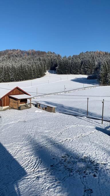Idyllisches Ferienapartment Allgaeu Bad Grönenbach Buitenkant foto