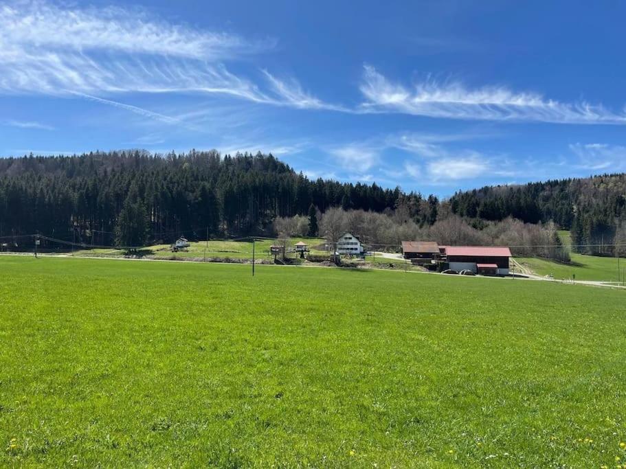 Idyllisches Ferienapartment Allgaeu Bad Grönenbach Buitenkant foto